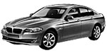 BMW F10 U115B Fault Code